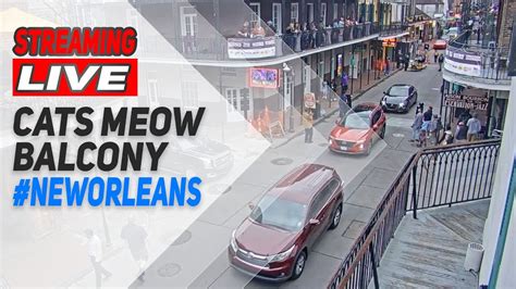 cats meow live webcam new orleans|cats meow balcony live cam.